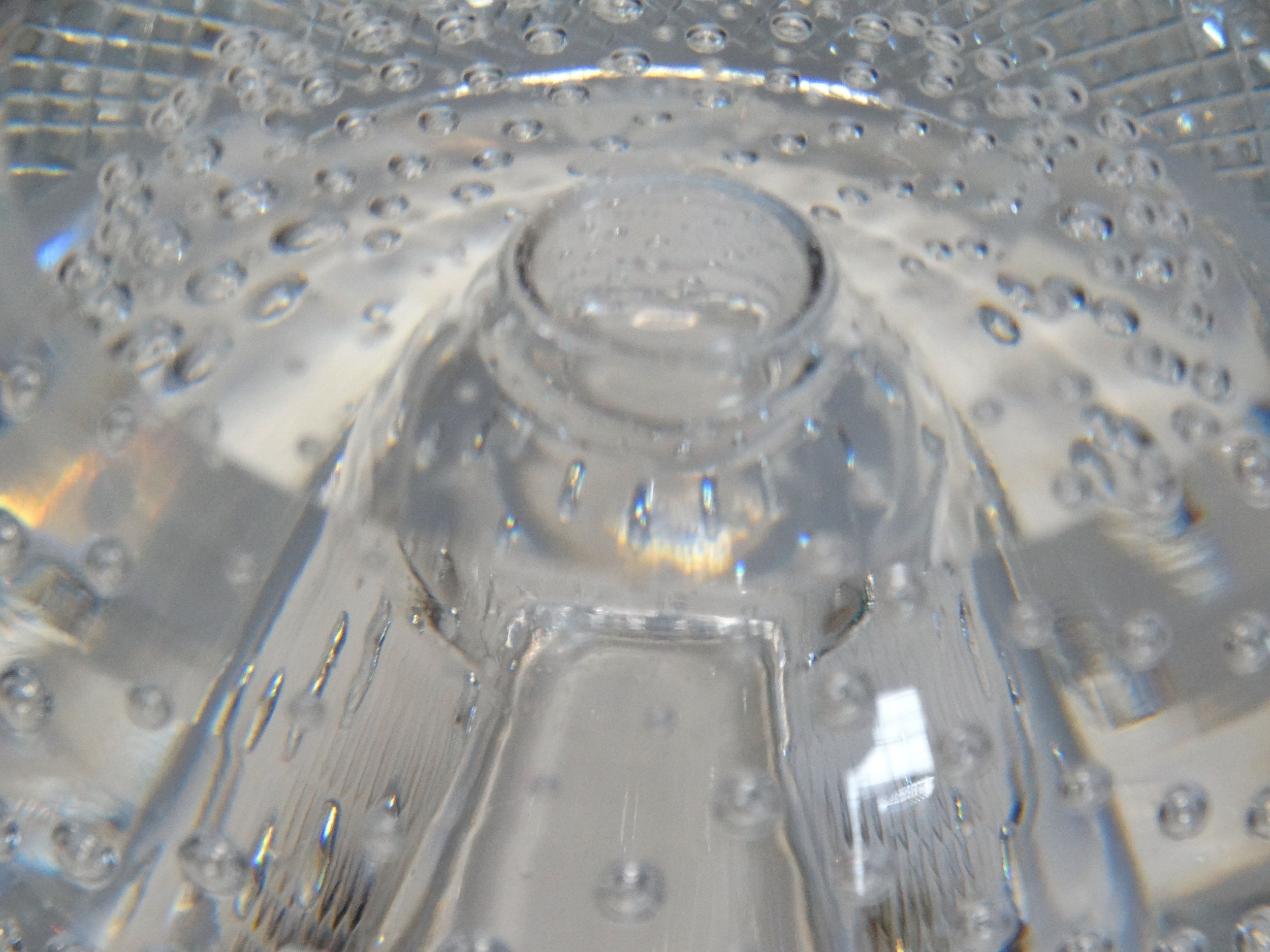 DSC01037.jpeg