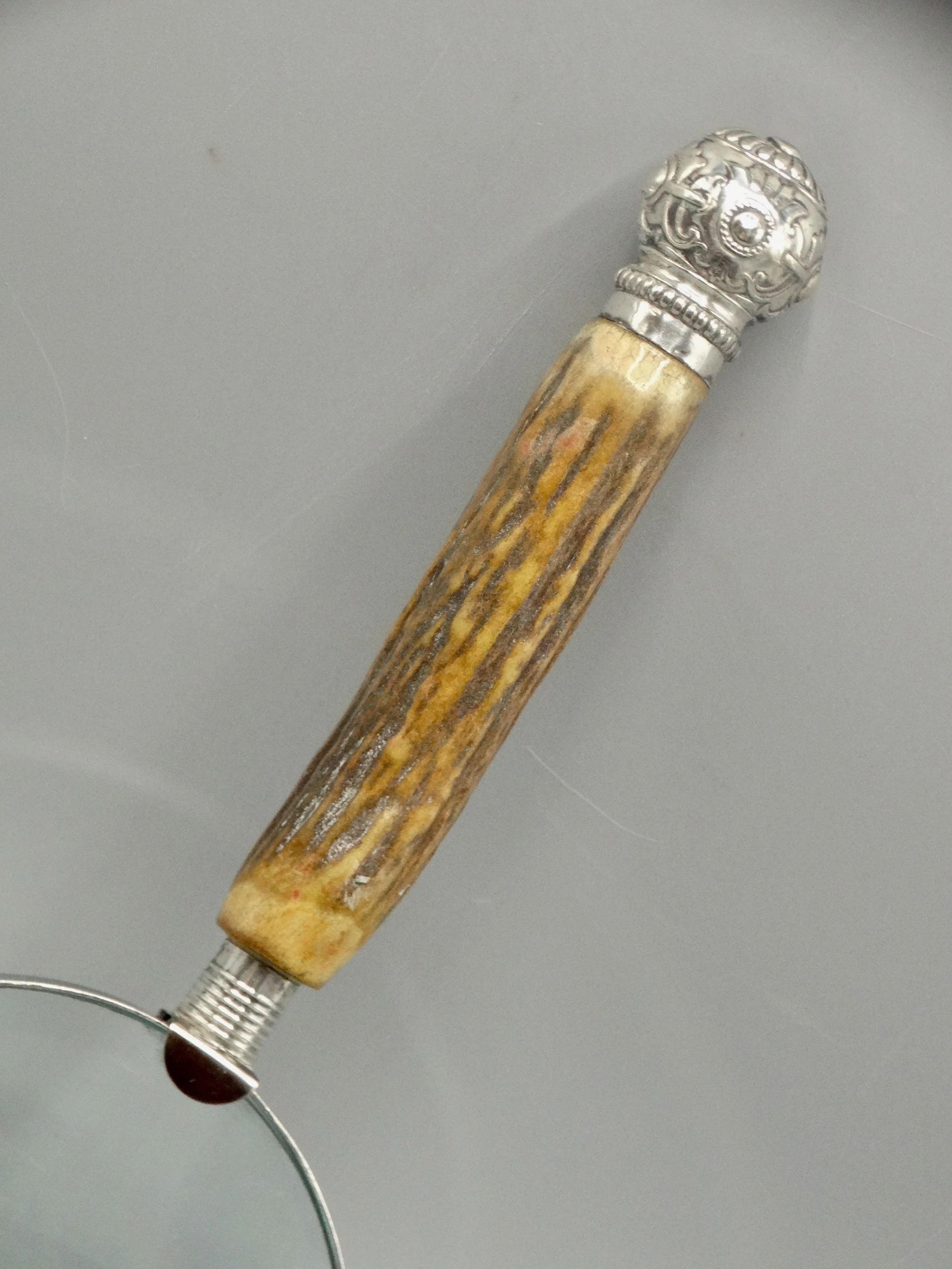 Detail of natural stag horn handle on antique English magnifying glass, silver mounts hallmarked John Biggin