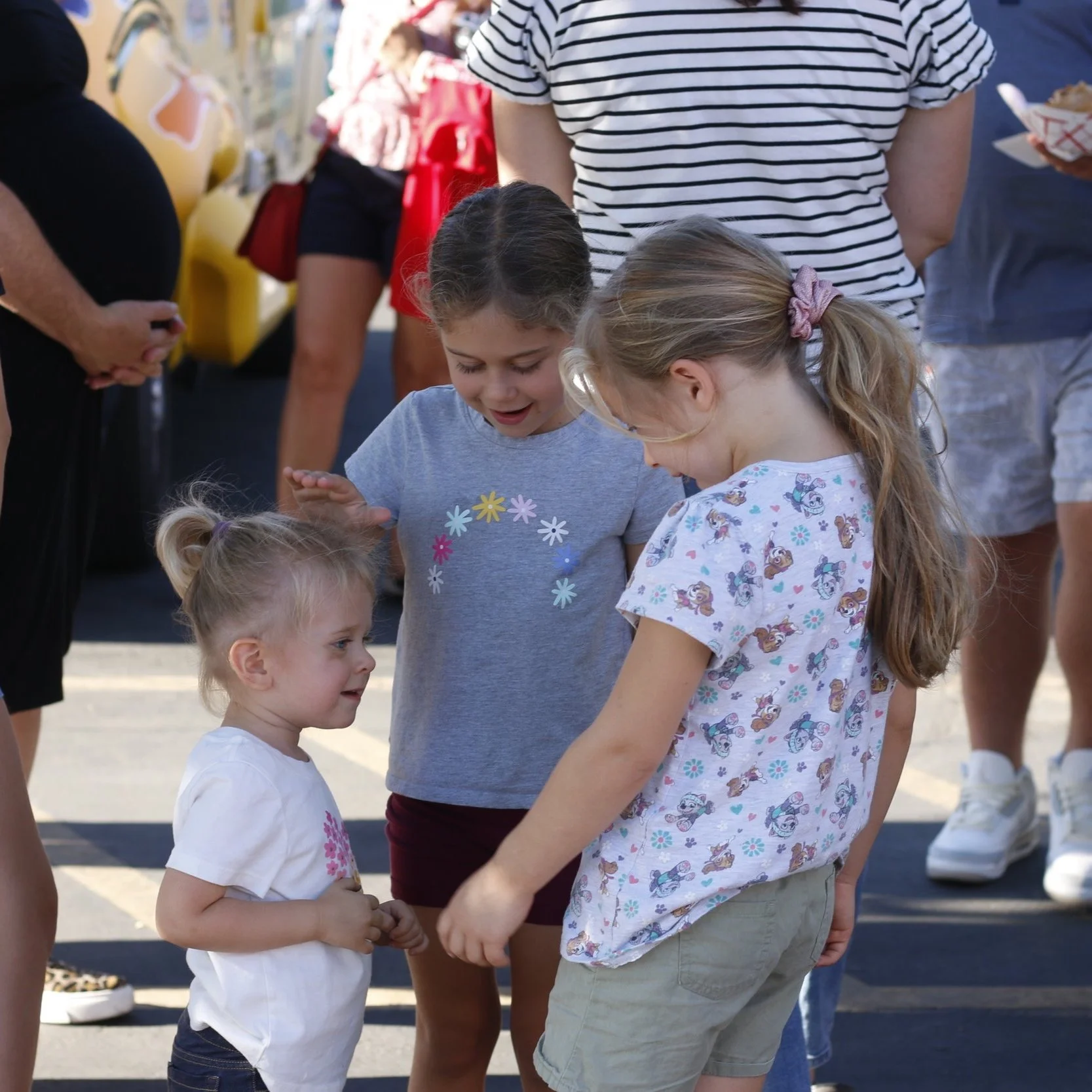 Curriculum — Victory Christian Schools