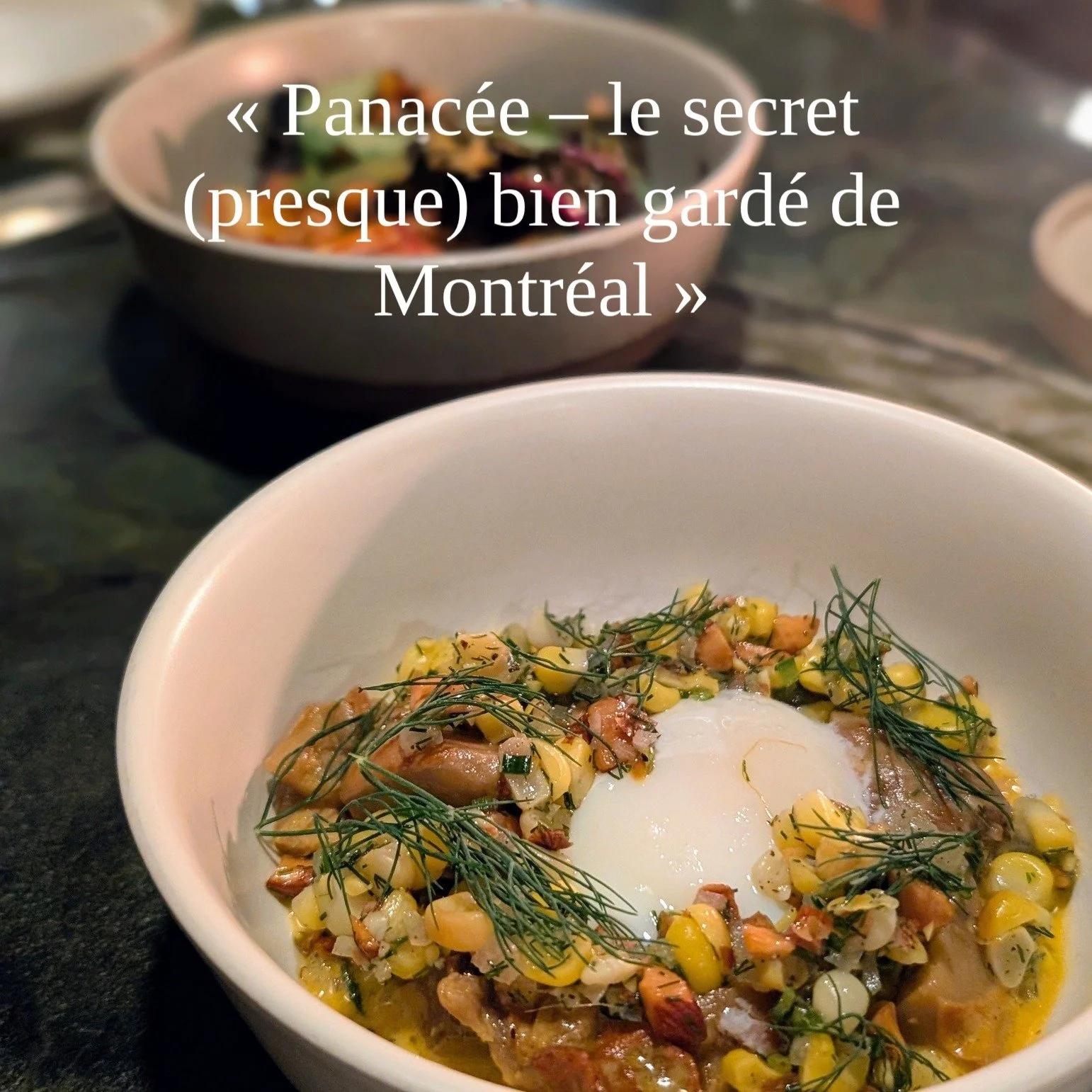 Apr&egrave;s un mois d&rsquo;ao&ucirc;t gourmand sur la Rive-Sud, retour &agrave; Montr&eacute;al avec un vrai bijou : Panac&eacute;e ✨  Service impeccable, ambiance r&eacute;confortante, comptoir convivial&hellip; chaque instant est un petit bonheur