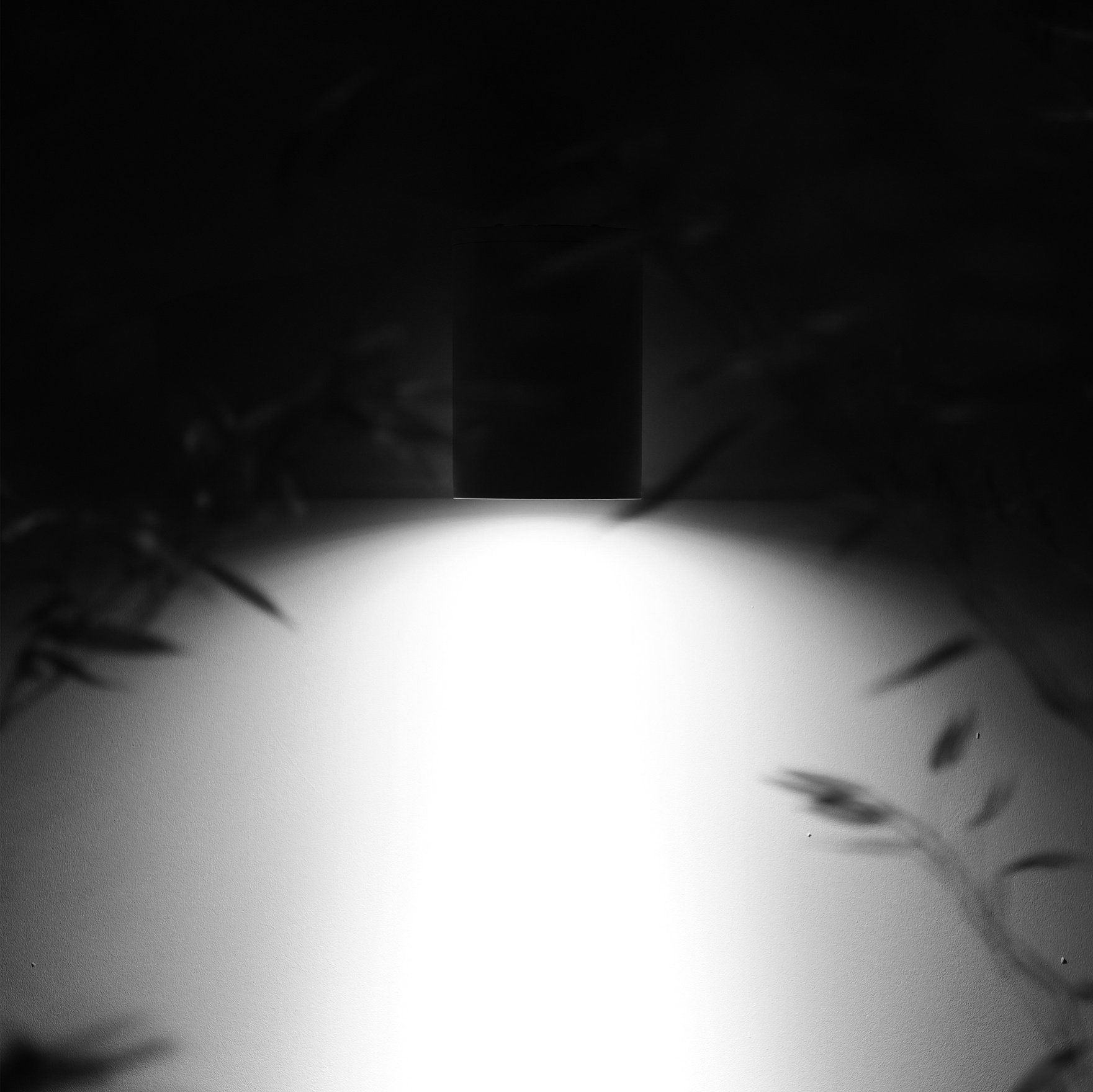 pilt 3.jpeg
