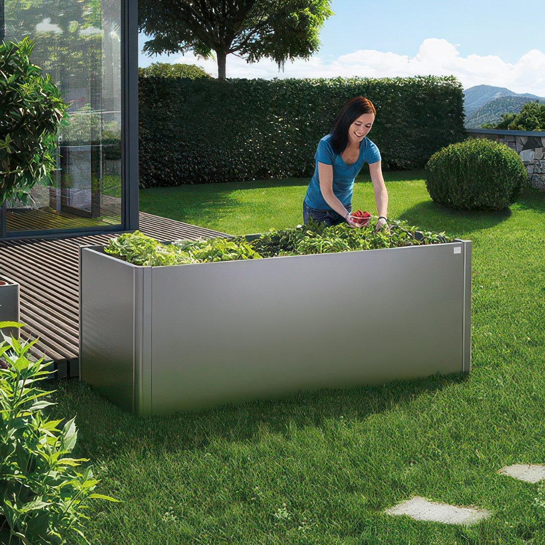 pilt 2-Biohort Raised Vegetable Bed v2-2x.jpeg