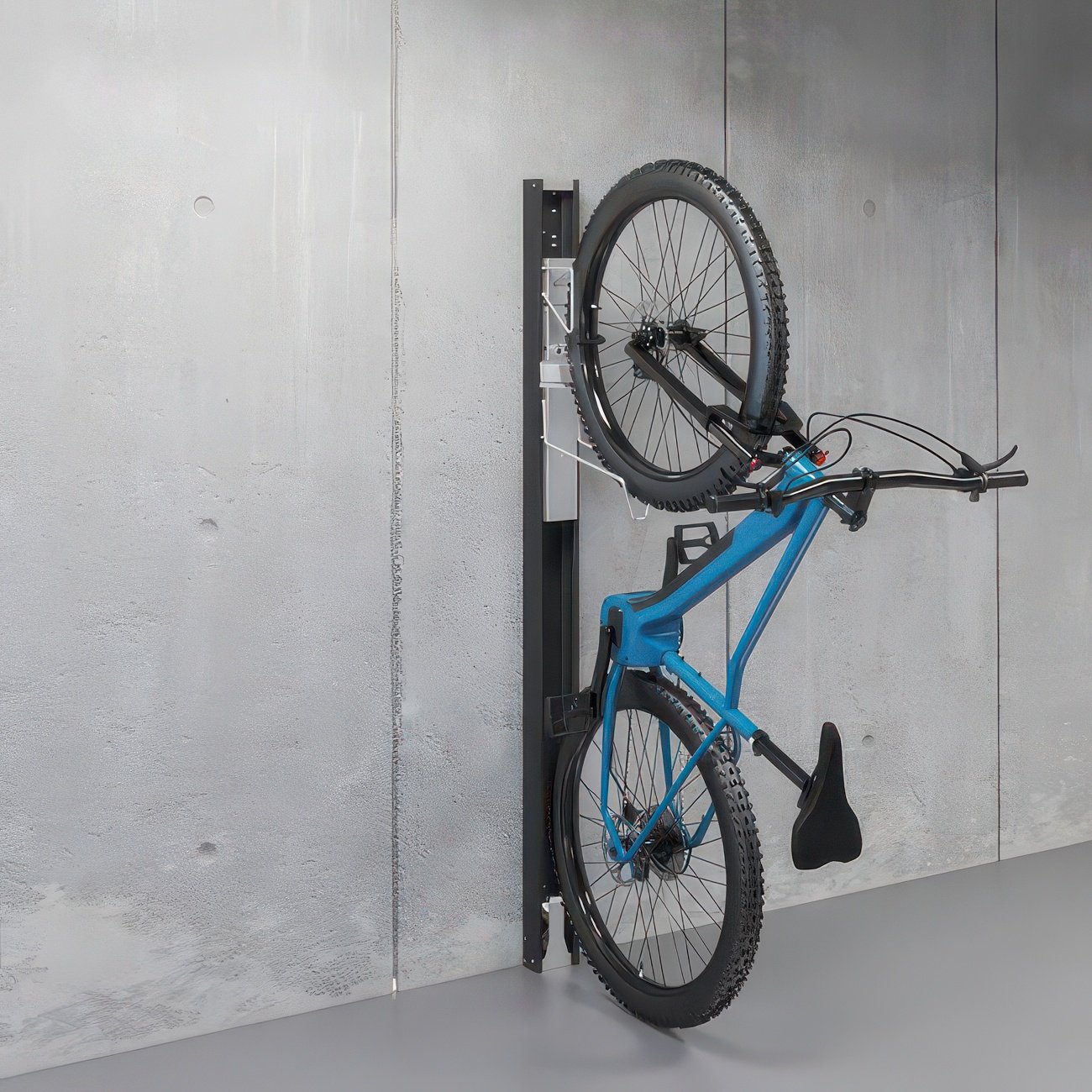 pilt 1-Biohort BikeLift v2-2x.jpeg
