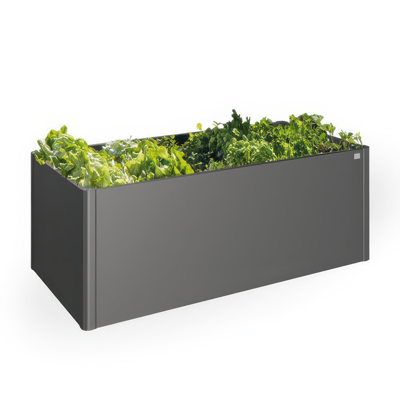 pilt 3-Biohort Raised Vegetable Bed v2-2x.jpeg