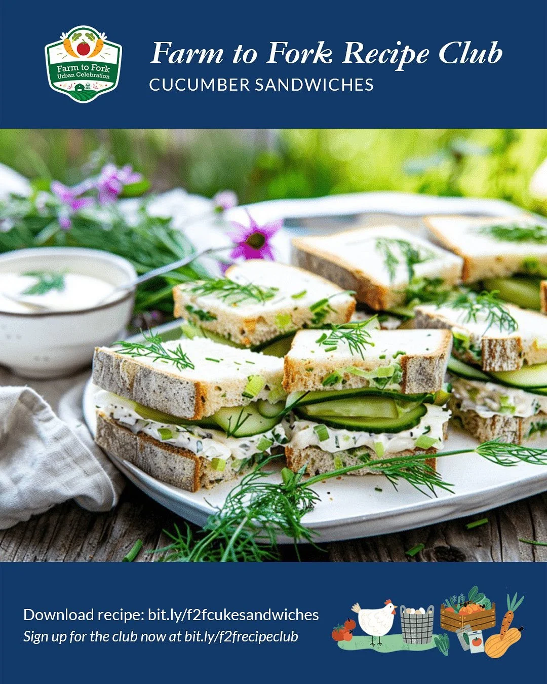 CUCUMBERS
Cucumbers offer a range of health benefits, making them a refreshing and nutritious addition to any diet. They are low in calories but high in water content, which helps keep the body hydrated and supports healthy skin. Rich in antioxidants