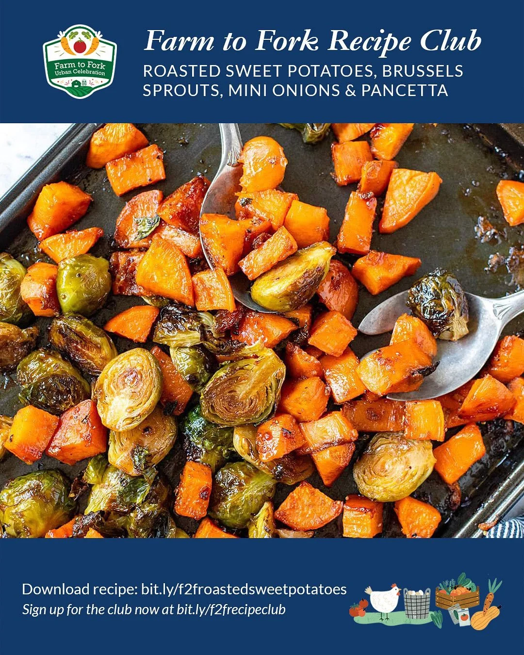 SWEET POTATOES
Sweet potatoes are a nutrient-rich vegetable that supports overall health in many ways. They are rich in beta-carotene, a form of vitamin A that promotes healthy eyes, skin, and immune function. Their high fiber content aids digestion 