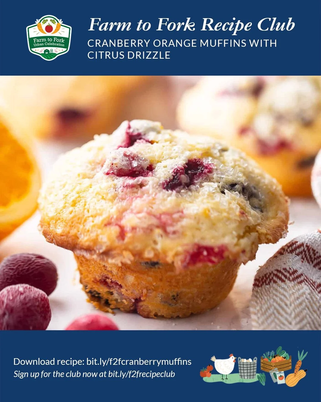 CRANBERRIES
Cranberries are small but powerful berries packed with nutrients that support overall health. They&rsquo;re high in antioxidants, including polyphenols and vitamin C, which help fight inflammation and protect the body from oxidative stres