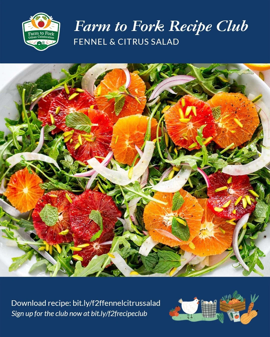 FENNEL
Fennel is a naturally refreshing vegetable packed with nutrients, including vitamin C, which helps support a strong immune system. Its fiber content promotes smooth digestion and contributes to a feeling of fullness, making it a great addition