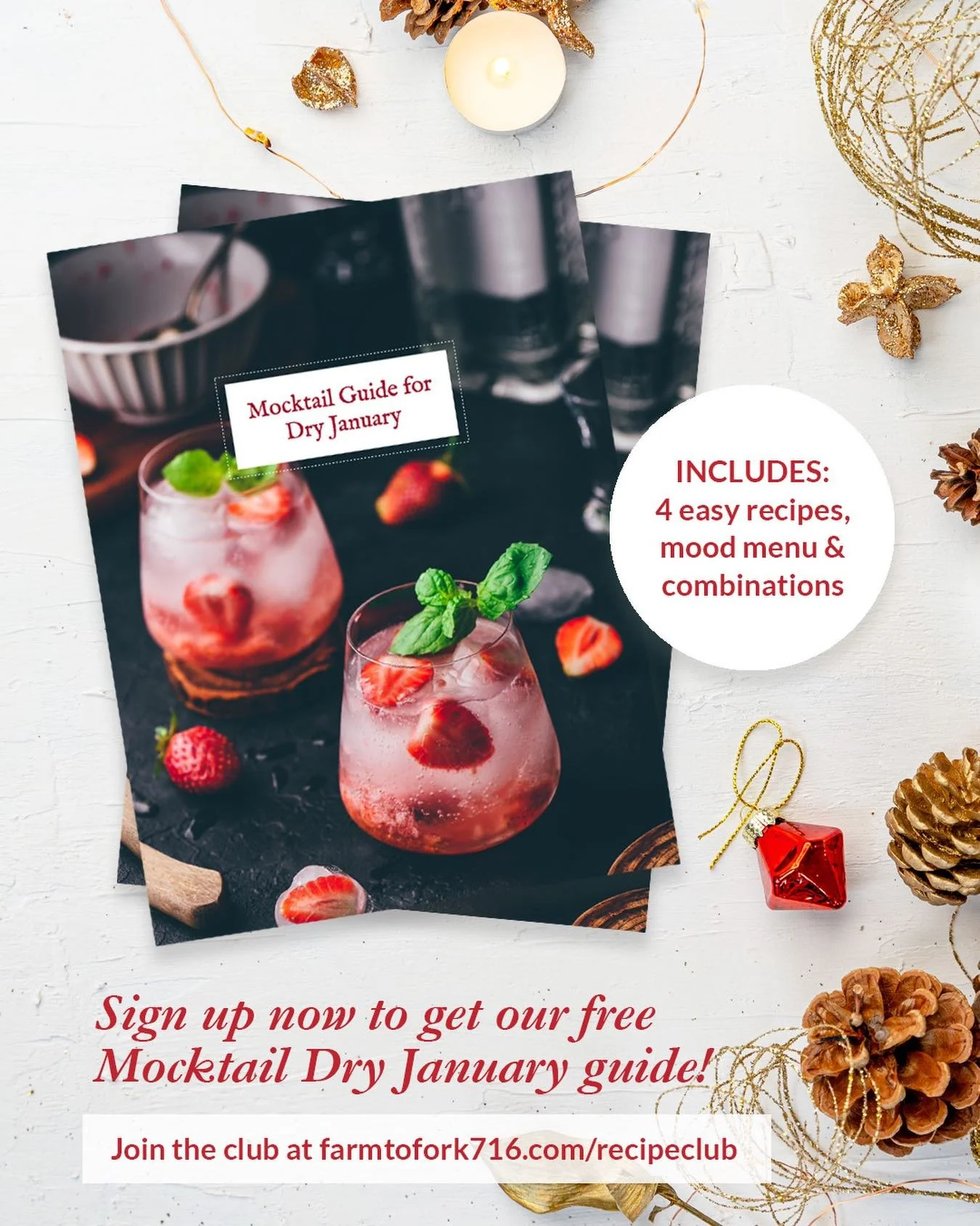 Our mocktail guide is a thoughtfully curated collection of alcohol-free drinks designed to elevate everyday moments into intentional rituals. Inside, you&rsquo;ll find nourishing recipes along with a mood menu and inspired flavor combinations to supp