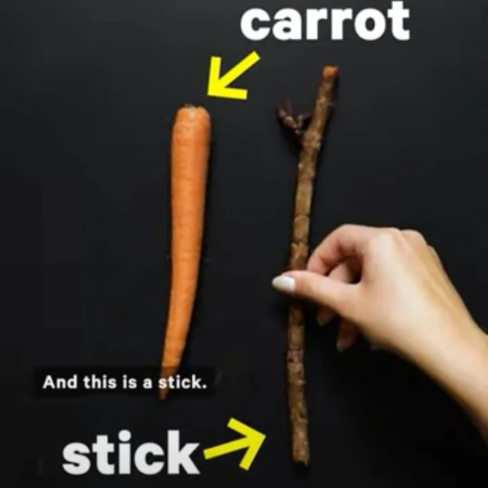 Carrot vs. Stick: An Analogy for Criminal Legal Systems