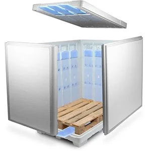 Cold Chain Packaging as Strategic Asset