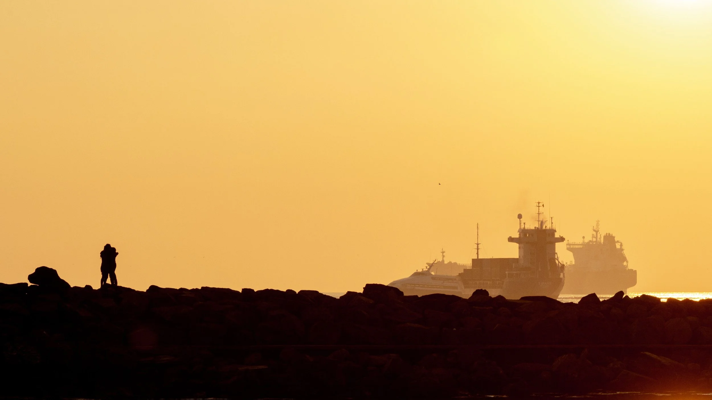 Ukraine, Gaza and the Red Sea: How Global Conflict is Redesigning Pharmaceutical Transport Networks