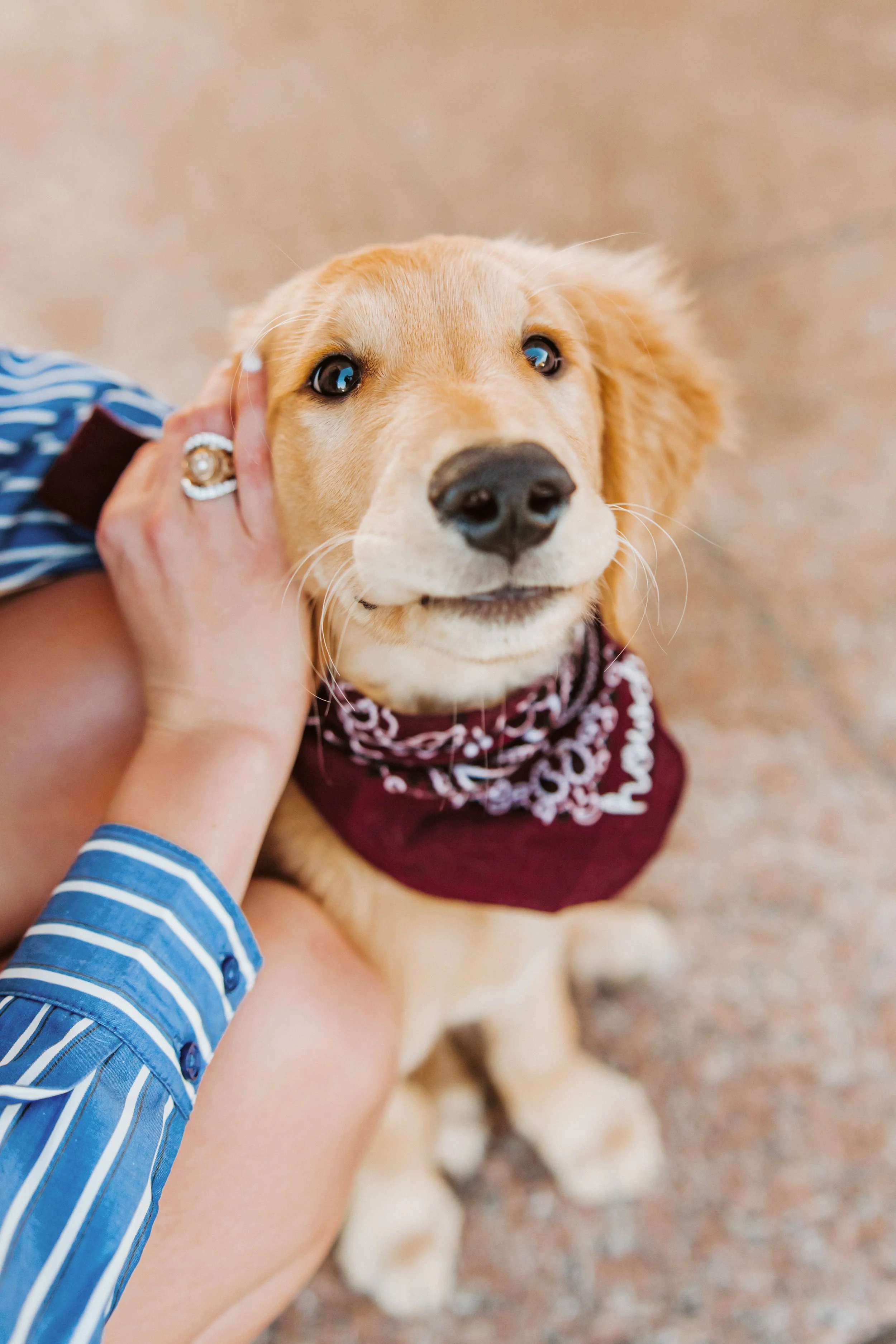Carsen_032125_Alex-Dougharty-Photography-164.jpg