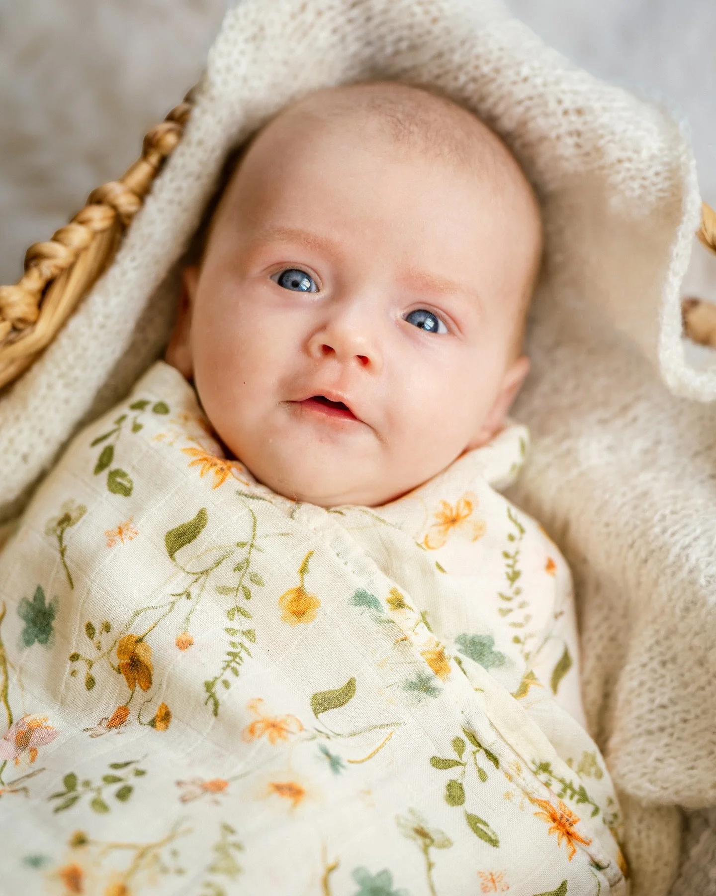 In-home newborn sessions are beautifully unpredictable – every baby, every home, every session is unique! Loved spending the morning capturing sweet moments with baby Amelia and her family. My approach? I bring along cozy wraps and a few simple