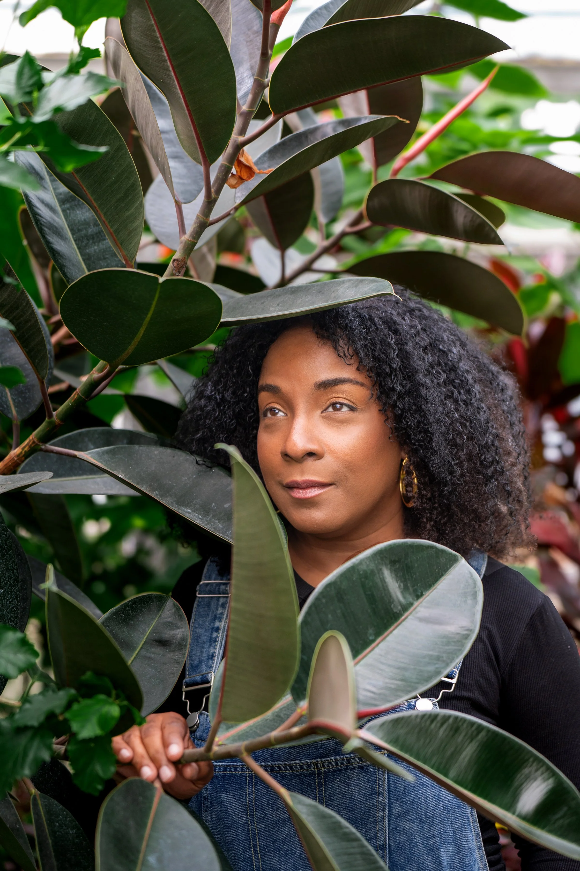 A woman with curly black hair and gold hoop earrings standing among large green and reddish leaves, looking thoughtfully to the side.
