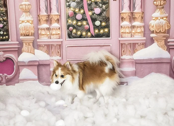 pet-christmas-pictures-near-me