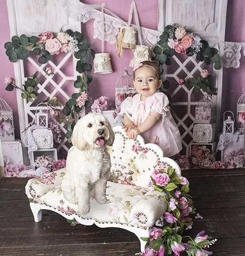 baby-photos-near-me
