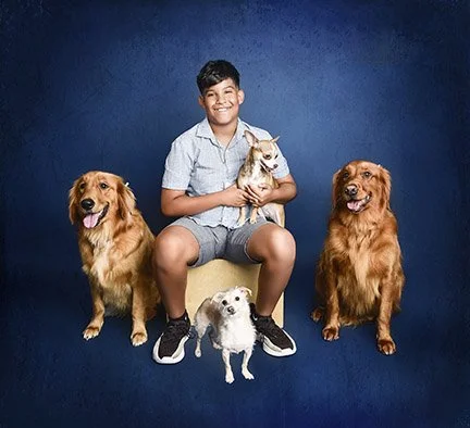 pet portrait photographer