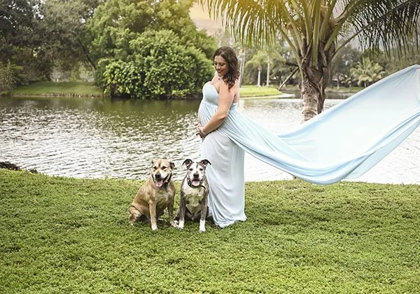 Miami maternity photography posed by a lake with two dogs