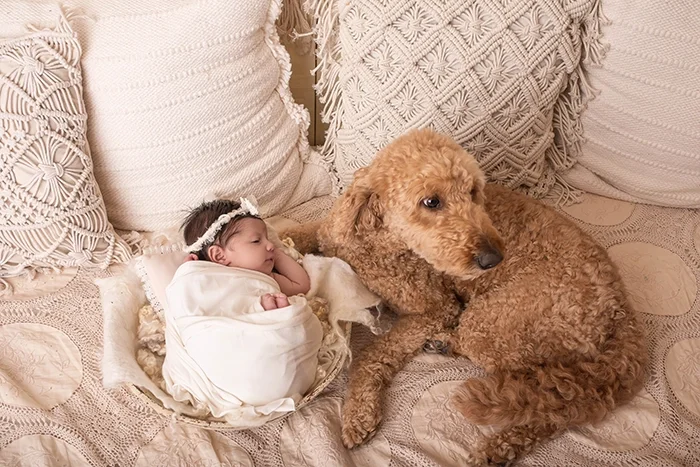 lifestyle newborn sessions including pets