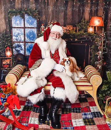 Holiday pet photographer near me