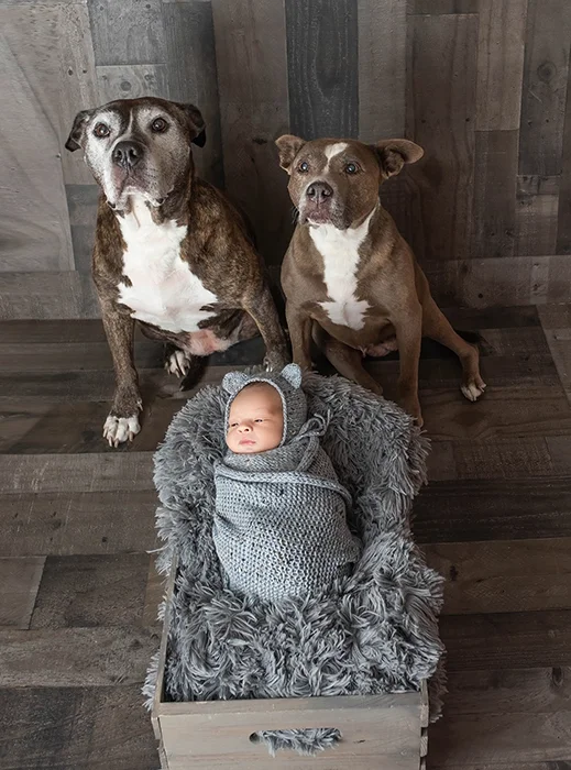 Newborn-photographer-who-includes-pets