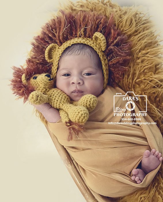 Palm Beach In-Home Newborn Photographer baby boy in a gold wrap wearing a lion bonnet holding a lion stuffy