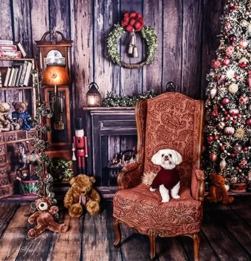 Holiday-pet-photography-Fort-Lauderdale