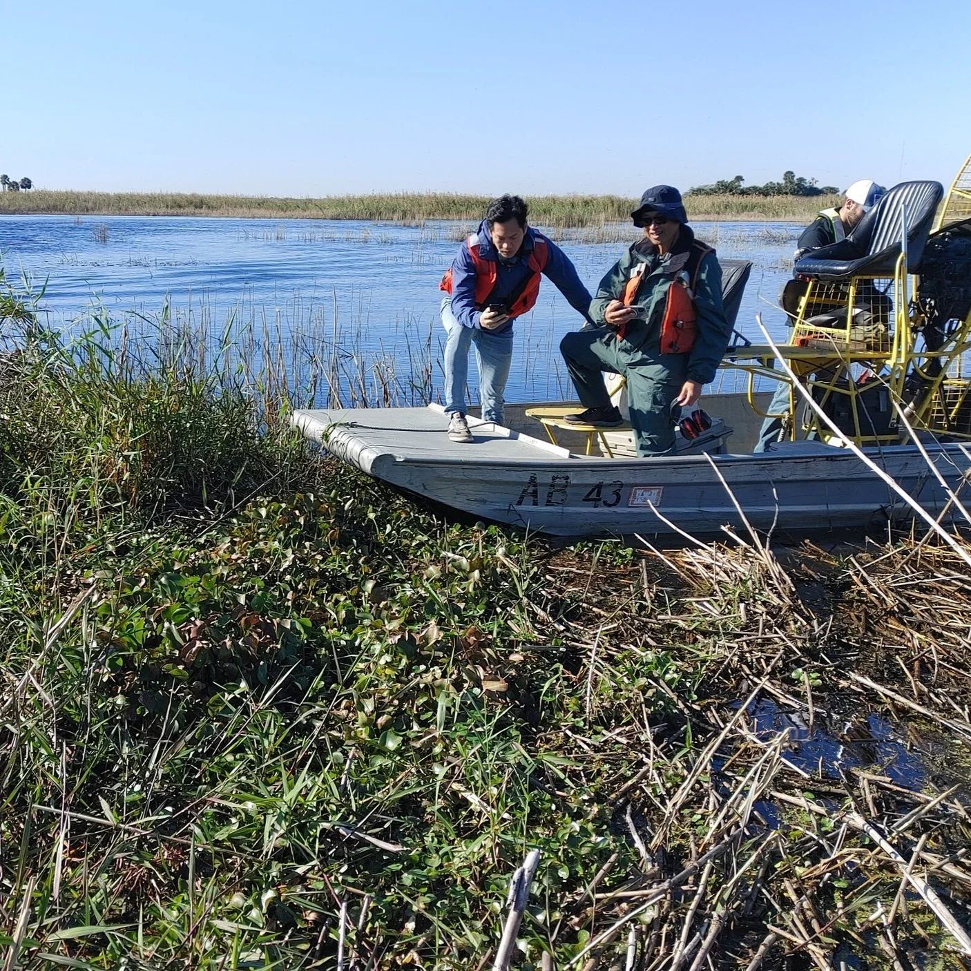Two people in life jackets conduct environmental work from a small airboat at the edge of a marshy area. The boat is docked near tall grasses, and one person is reaching into the water. The sky is clear and blue.