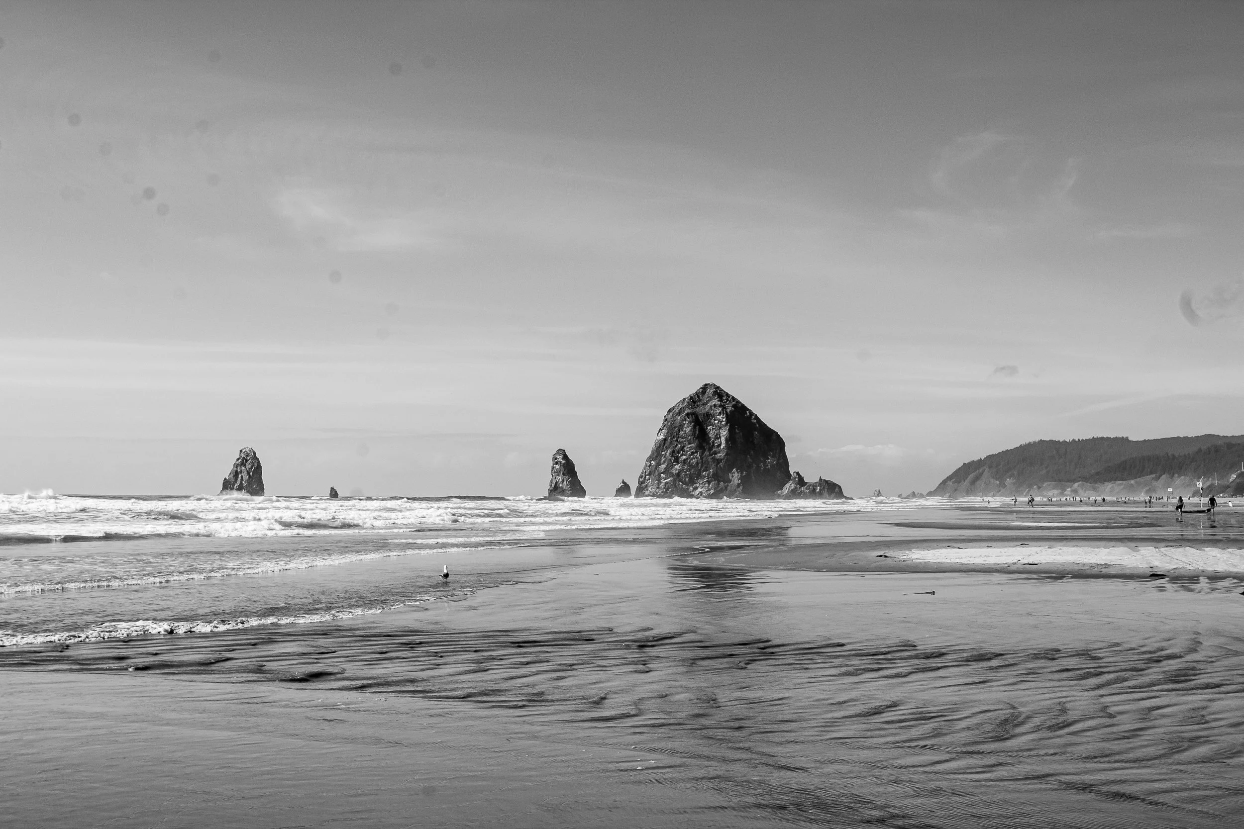 9FB3D88F-373F-47B5-8DDA-97ED355EB3EA copy.JPG