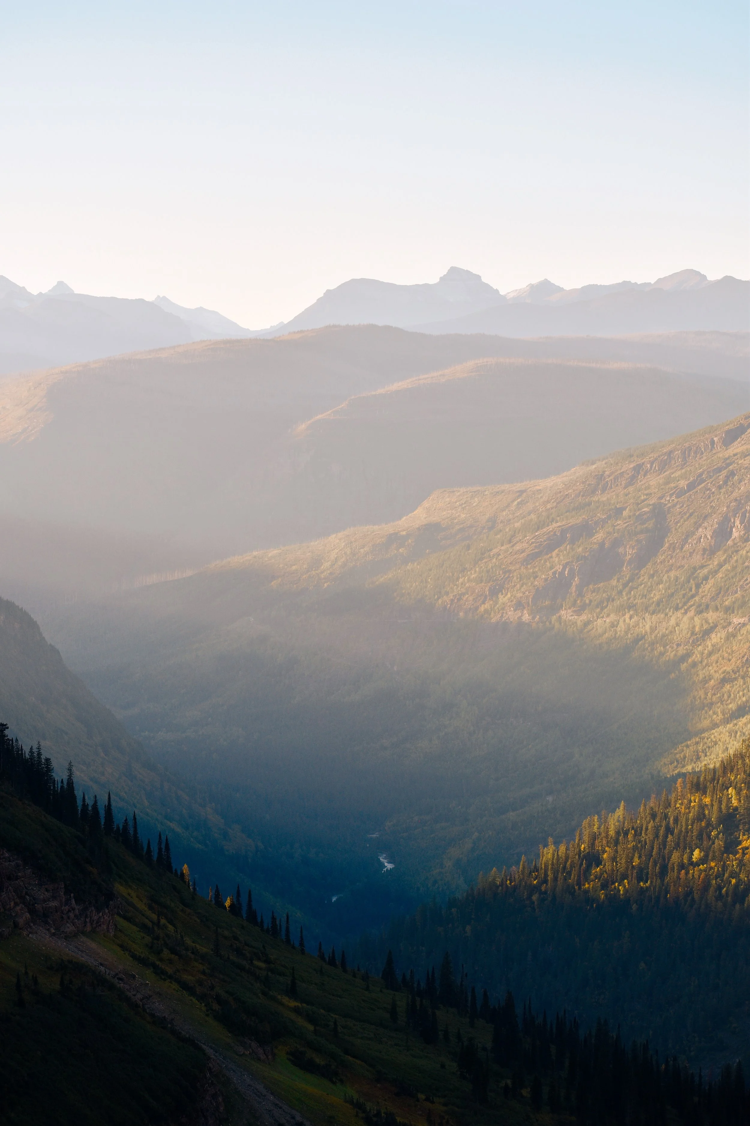 Tezza-0880 copy.jpeg