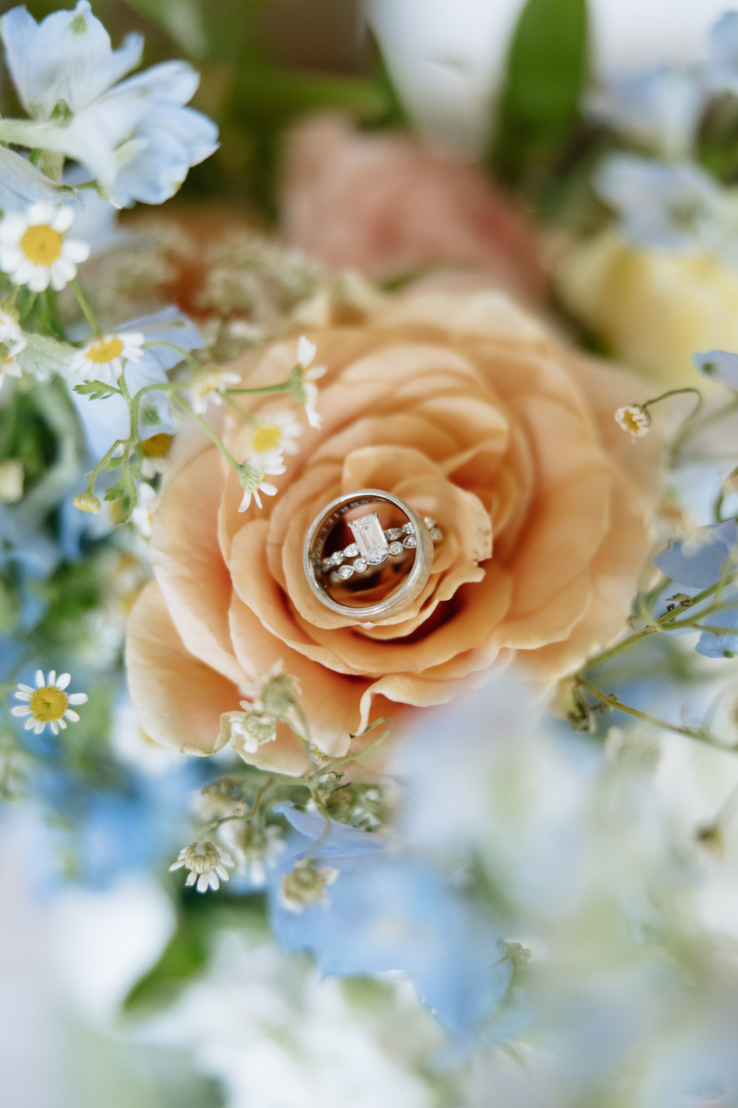 _A3A4845-3.jpg