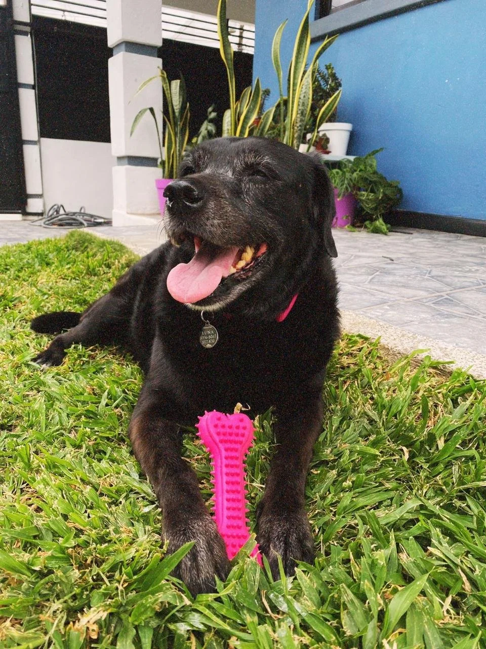 WhatsApp Image 2024-06-19 at 6.56.18 PM.jpeg