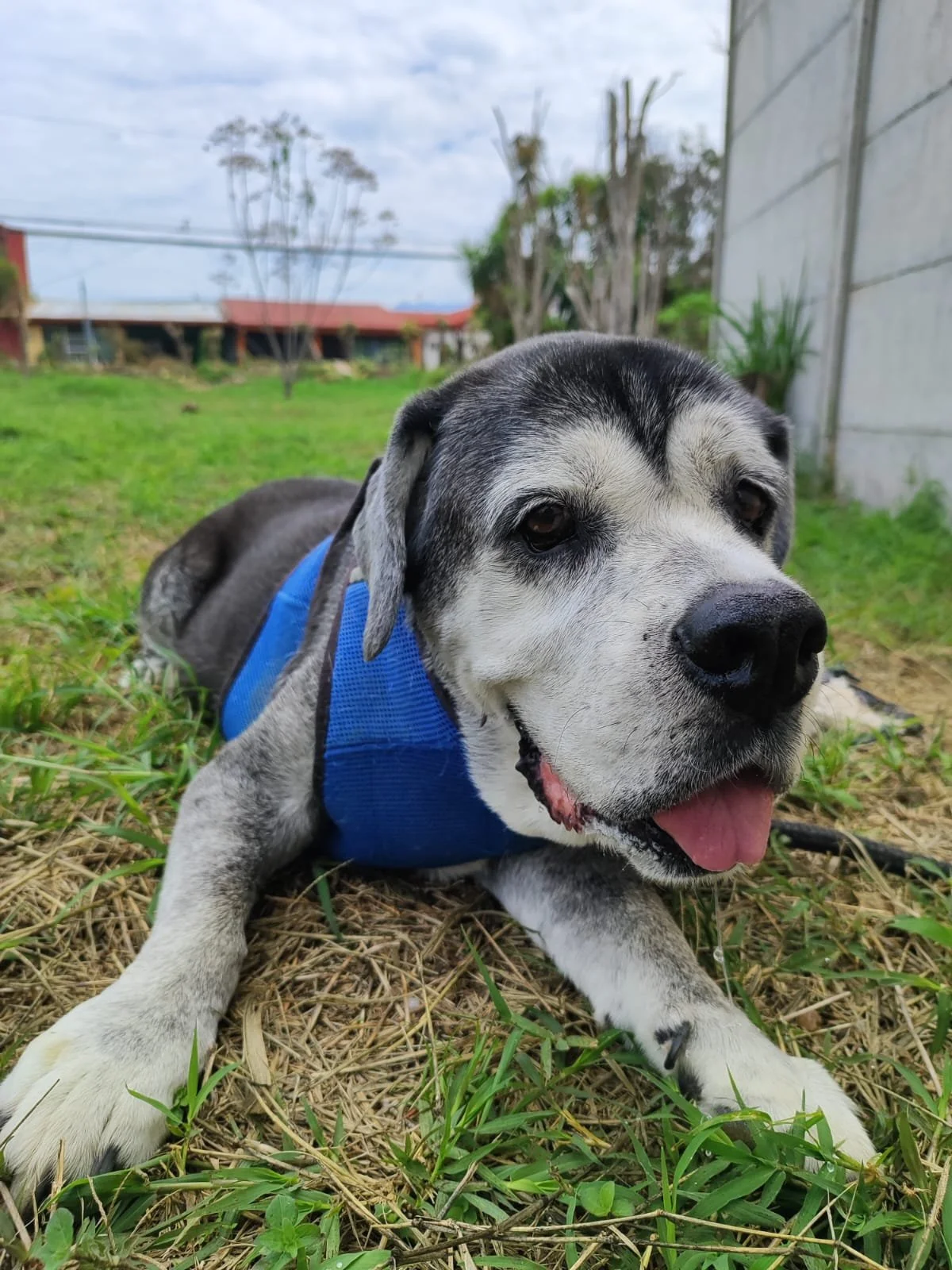 WhatsApp Image 2024-06-19 at 11.11.33 PM.jpeg