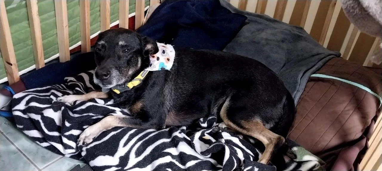 WhatsApp Image 2024-06-18 at 1.56.24 PM.jpeg