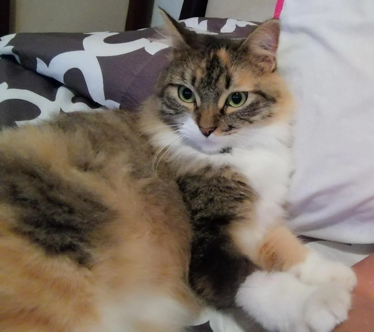 WhatsApp Image 2024-06-02 at 9.24.34 PM.jpeg