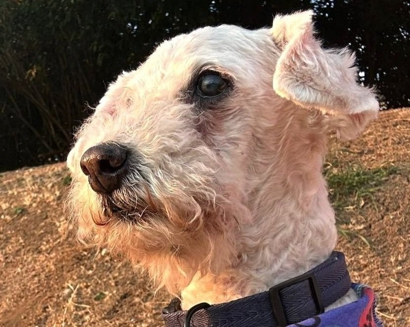 WhatsApp Image 2024-06-22 at 7.21.50 AM.jpg