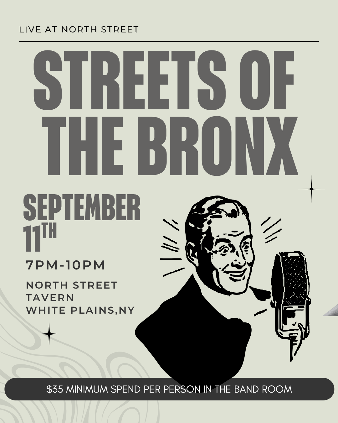 Streets of the Bronx