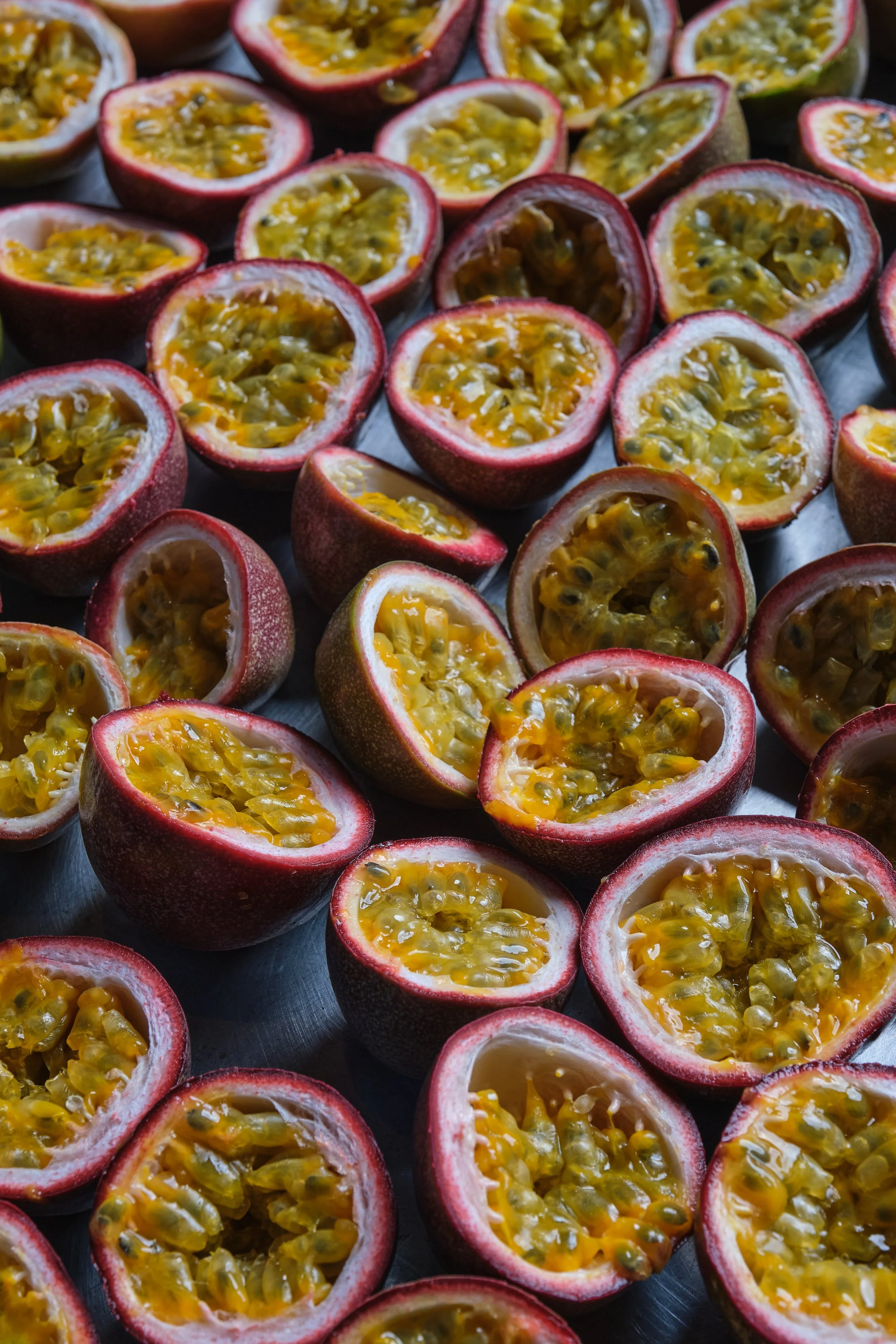 copyrightmelissasantell 4.jpeg