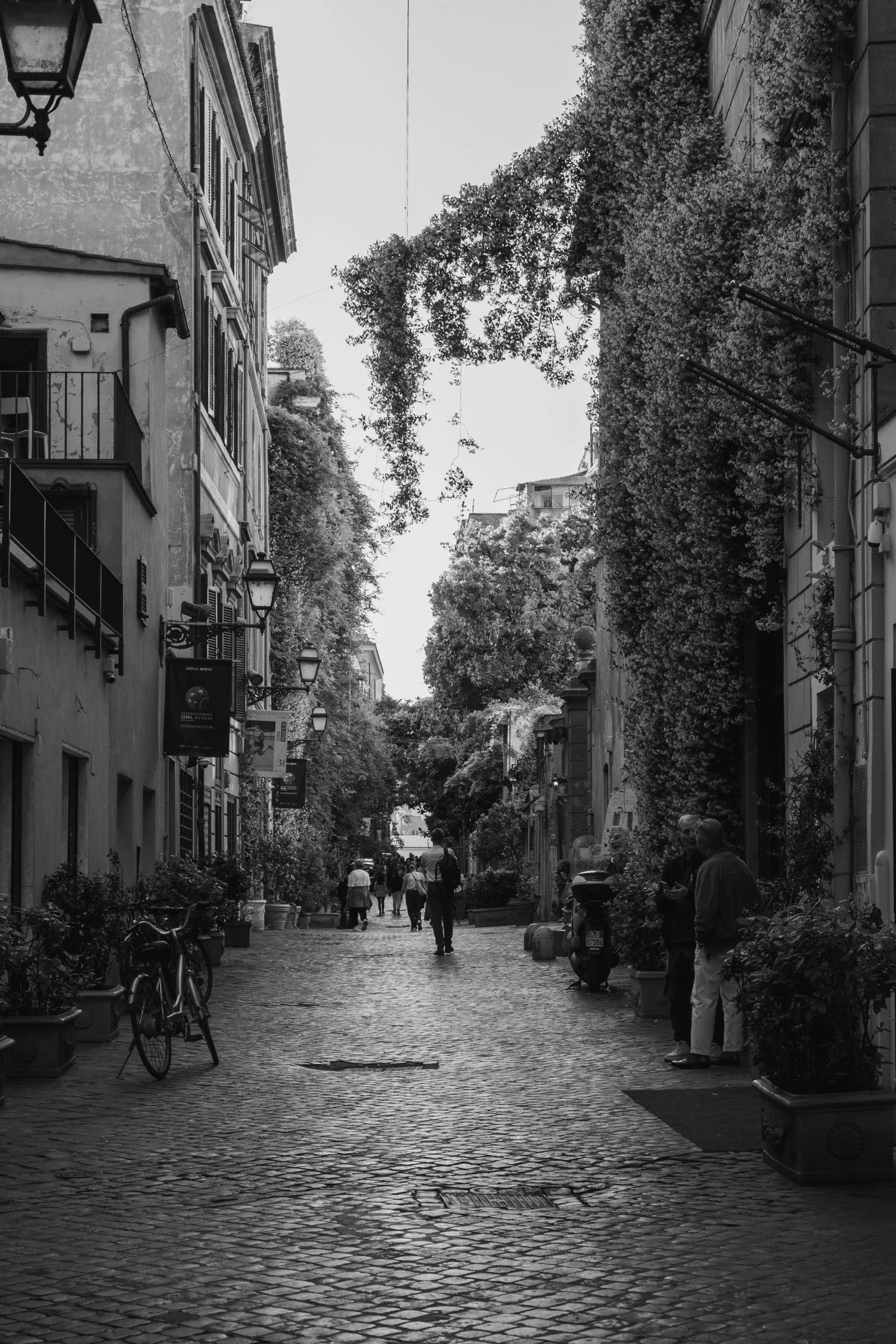 via-margutta-street-rome-michelle-ciani-resized.jpg