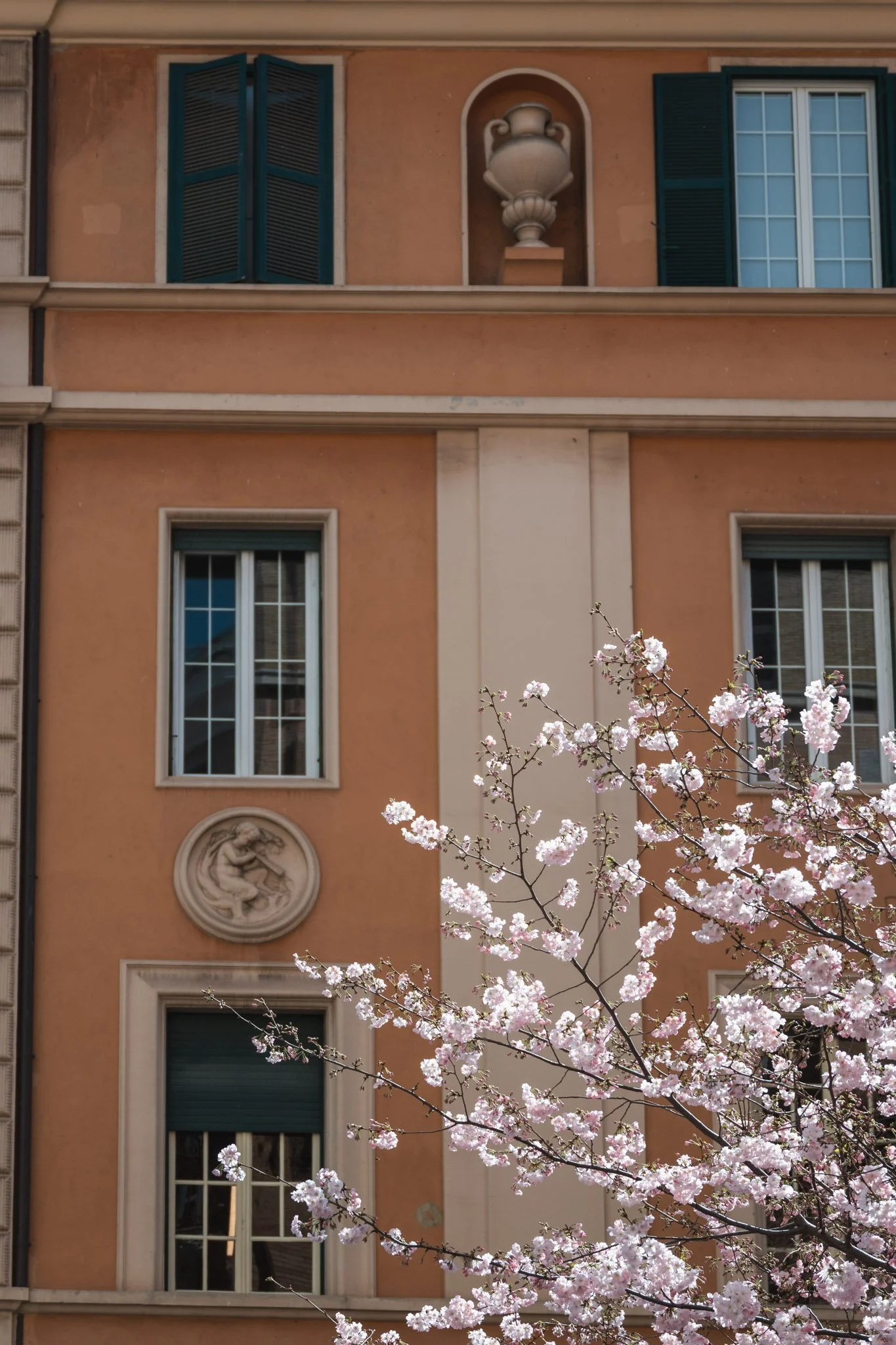 From My Notebook: Cherry Blossoms and the Pink Moon in Rome