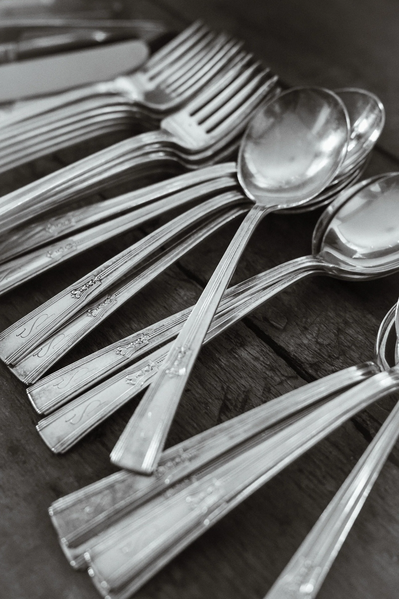 silver-spoons-aesthetic-michelle-ciani-resized.jpg