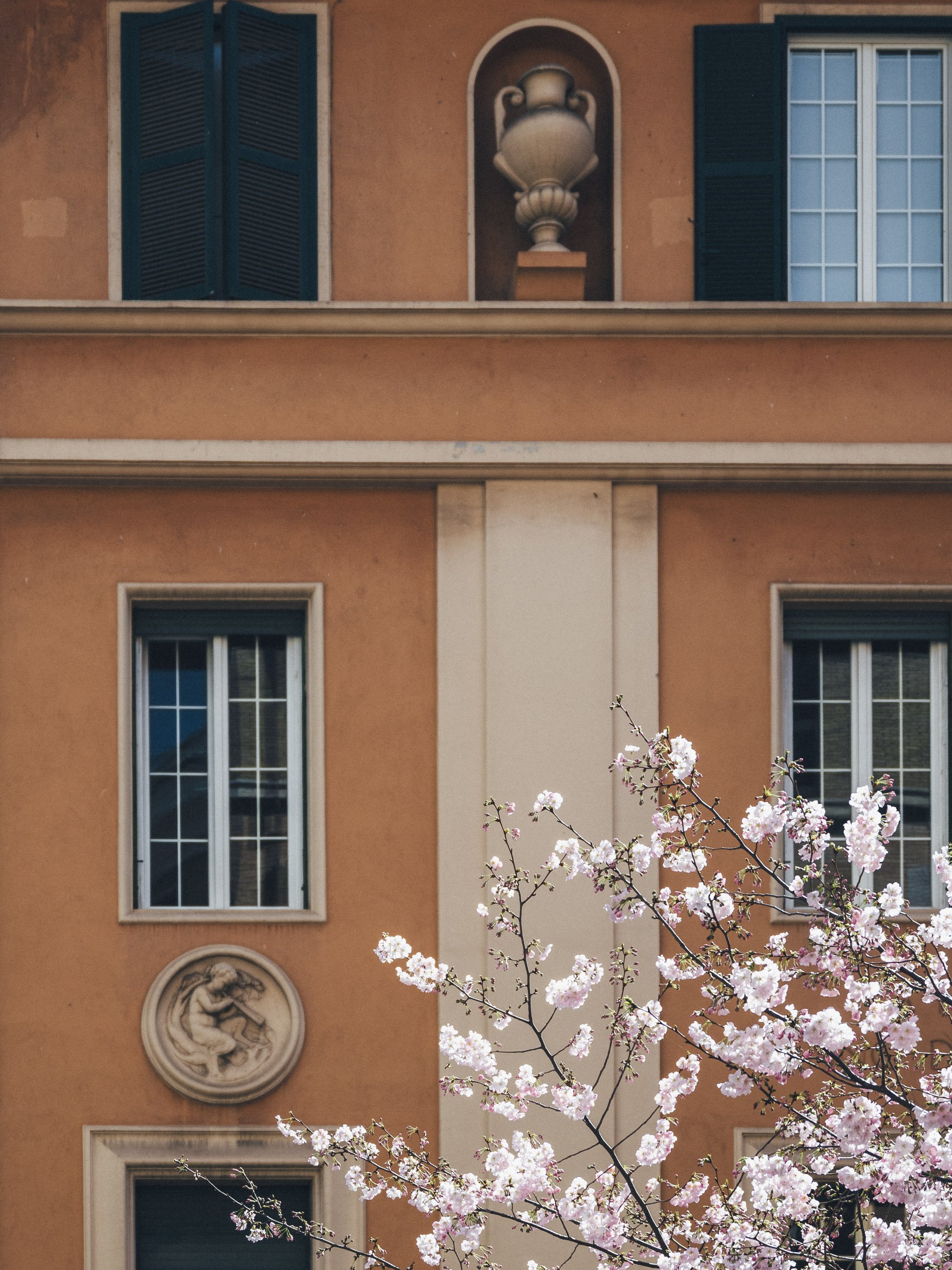 From My Notebook: Cherry Blossoms and the Pink Moon in Rome