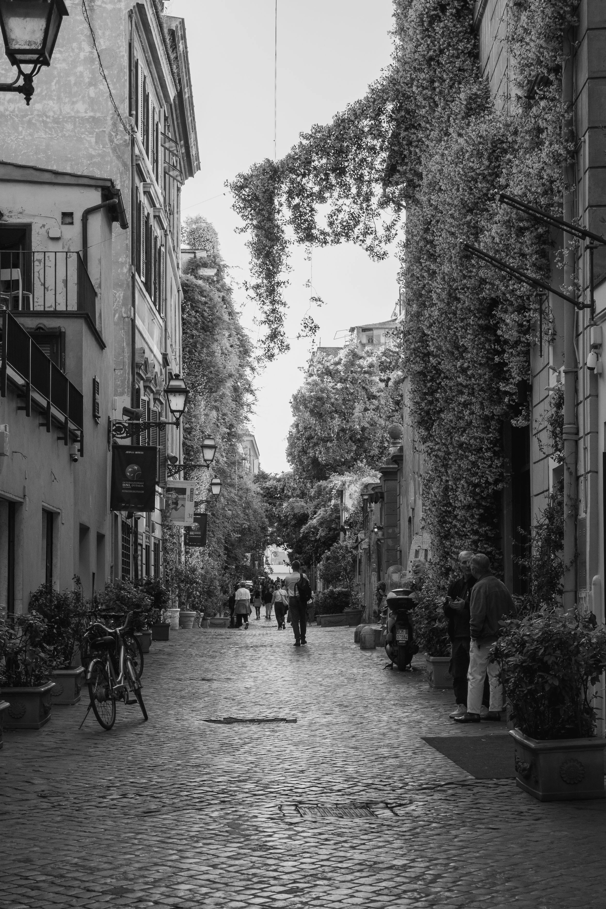 via-margutta-street-rome-michelle-ciani (1).jpg