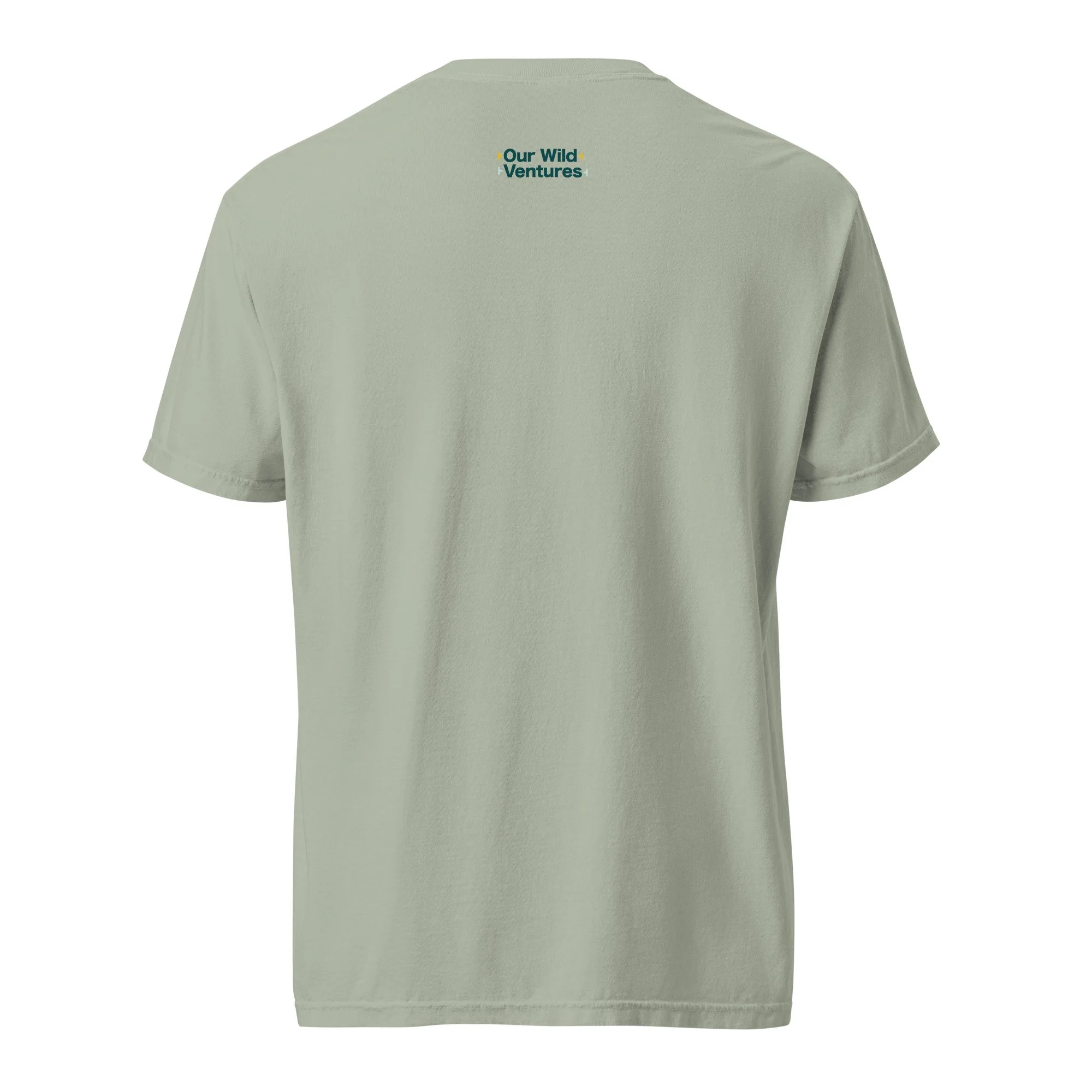 unisex-garment-dyed-heavyweight-t-shirt-bay-back-664b9cf7dcfba.jpg