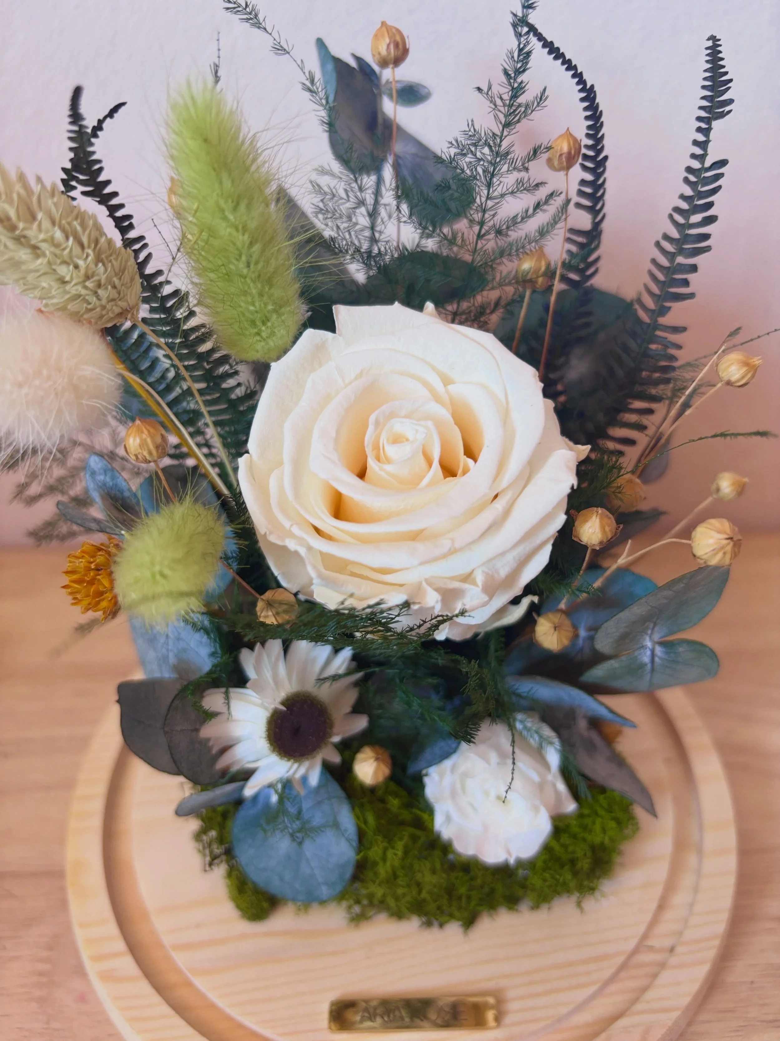 Peque&ntilde;os jardines🌷