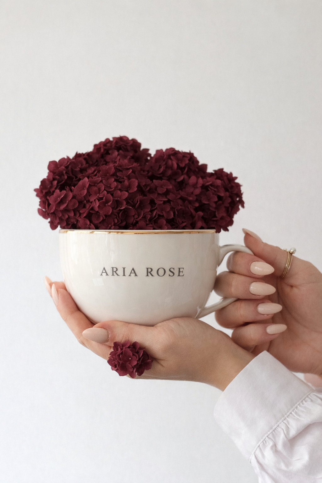 Una mano sostiene una taza blanca con la inscripción 'ARIA ROSE' que contiene flores de color rojo oscuro.