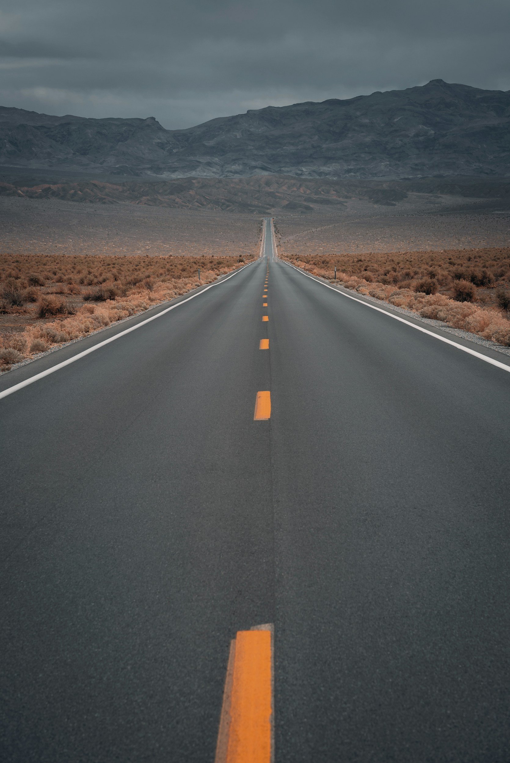 What Investors Look for When Growth Slows