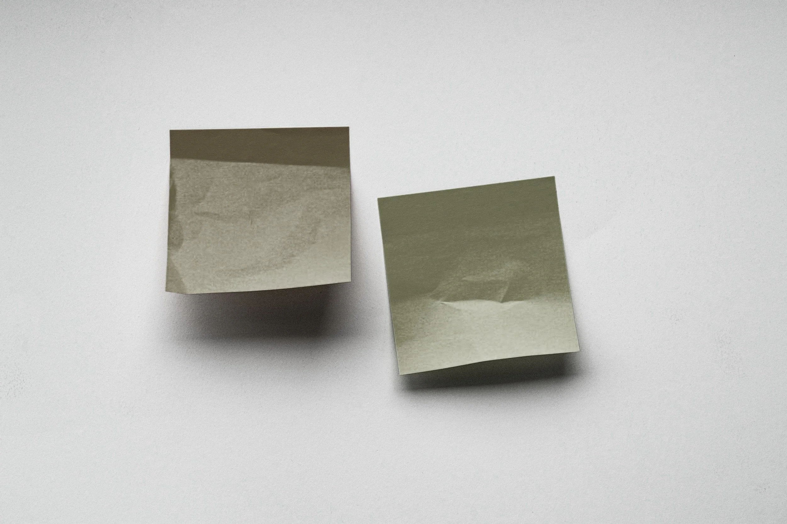 image-asset.jpg