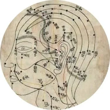 Alexander Ahamer's Chinese Medicine Shiatsu Chart in Cacais